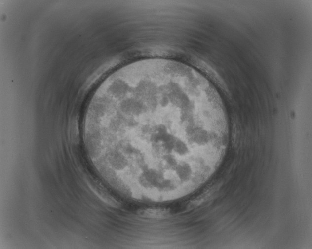 X0000087410251200705181405