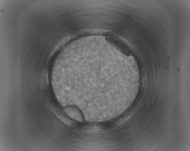 X0000087410254200705181405