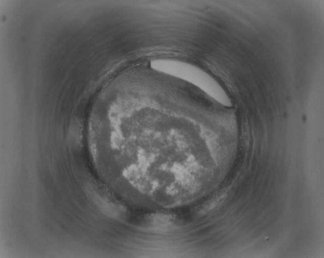 X0000087410255200705181405