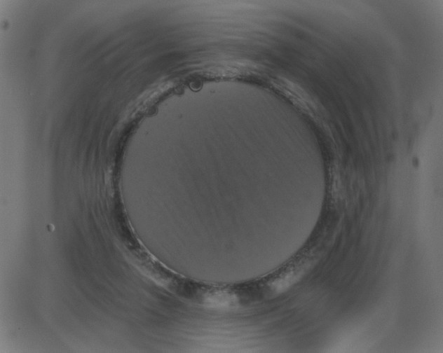 X0000087410258200705181405