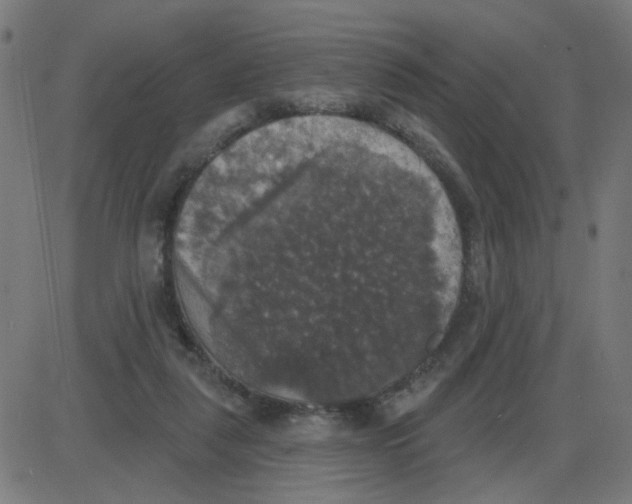 X0000087410259200705181405