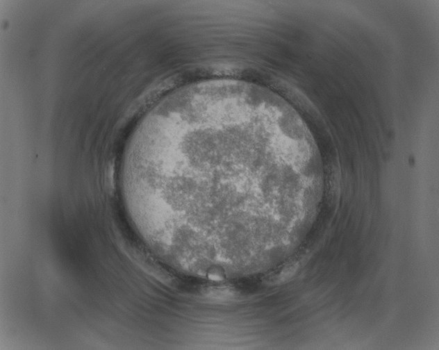 X0000087410262200705181405