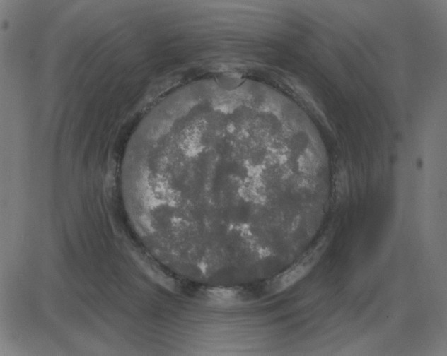 X0000087410265200705181405