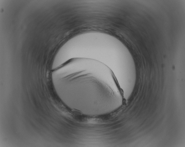 X0000087410268200705181405