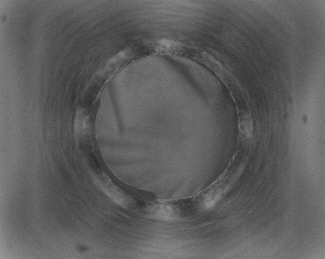 X0000087410276200705181405