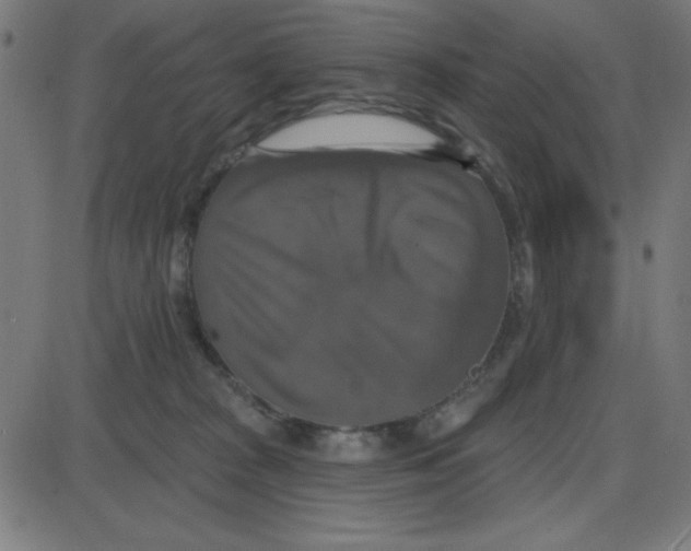 X0000087410277200705181405