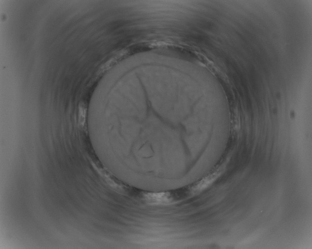 X0000087410281200705181405