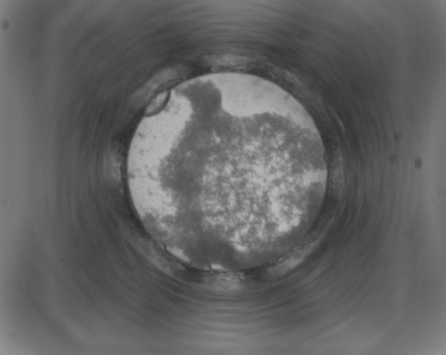 X0000087410282200705181405