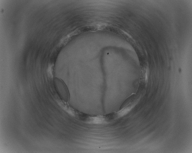 X0000087410286200705181405