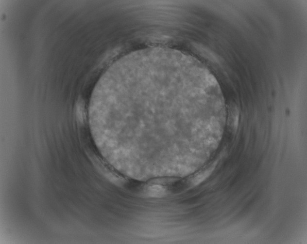 X0000087410287200705181405