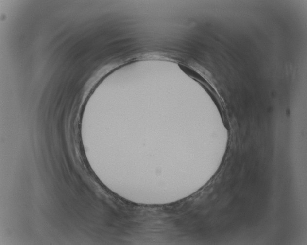 X0000087410289200705181404