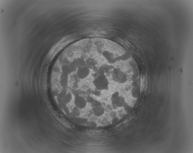 X0000087410291200705181404