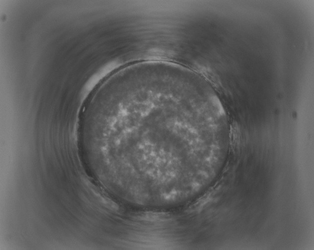 X0000087410292200705181404