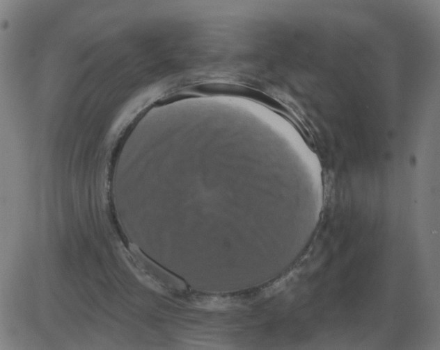 X0000087410293200705181404