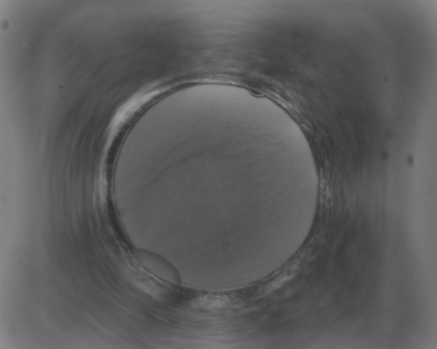 X0000087410294200705181404