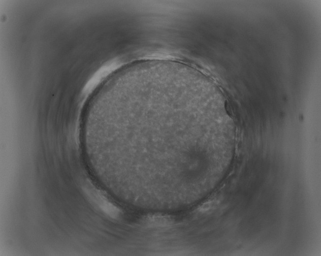 X0000087410296200705181404