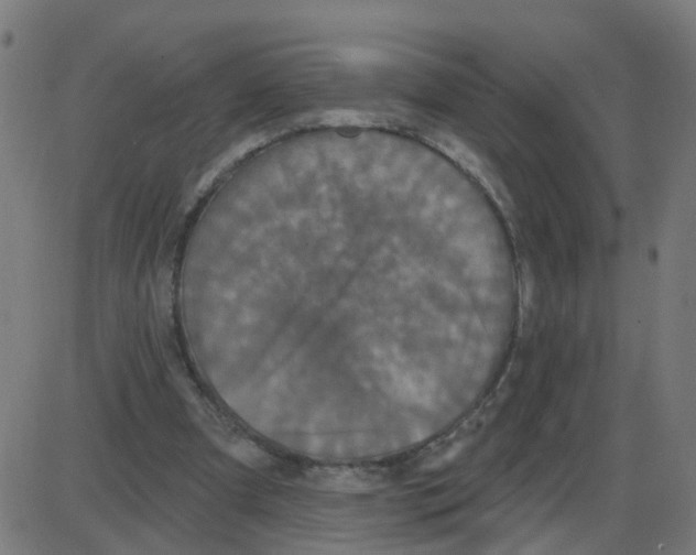 X0000087410297200705181404