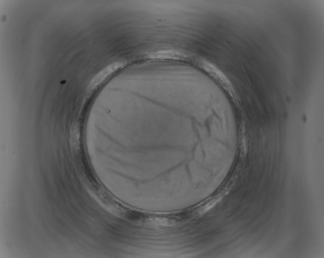 X0000087410298200705181404