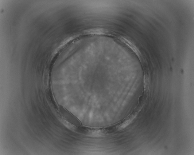 X0000087410301200705181404