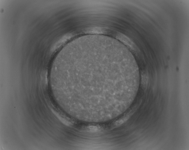 X0000087410302200705181404