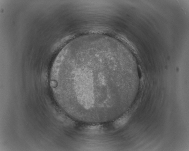 X0000087410306200705181404