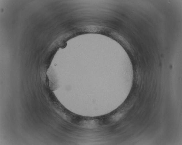 X0000087410307200705181404