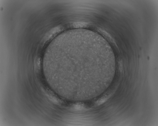 X0000087410308200705181404