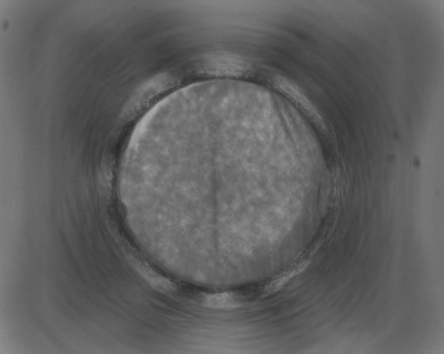 X0000087410309200705181404