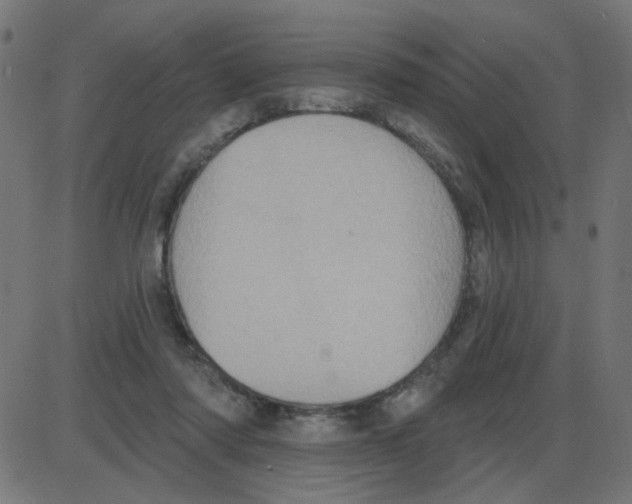 X0000087410310200705181404