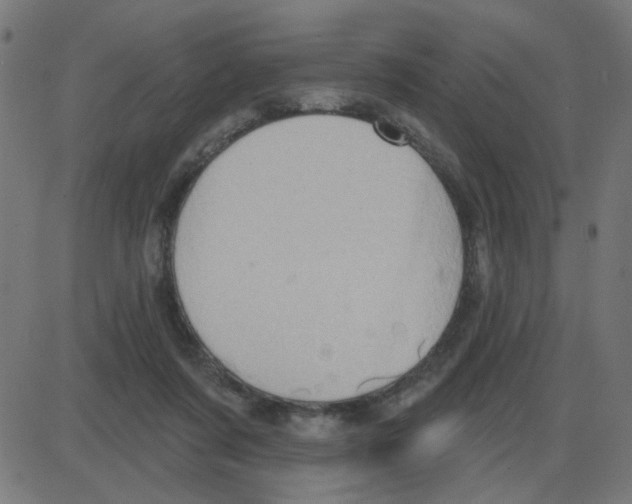 X0000087410311200705181404