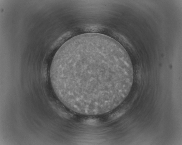 X0000087410312200705181404