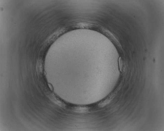 X0000087410313200705181404