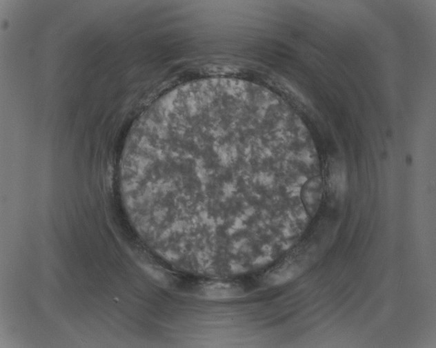 X0000087410315200705181404