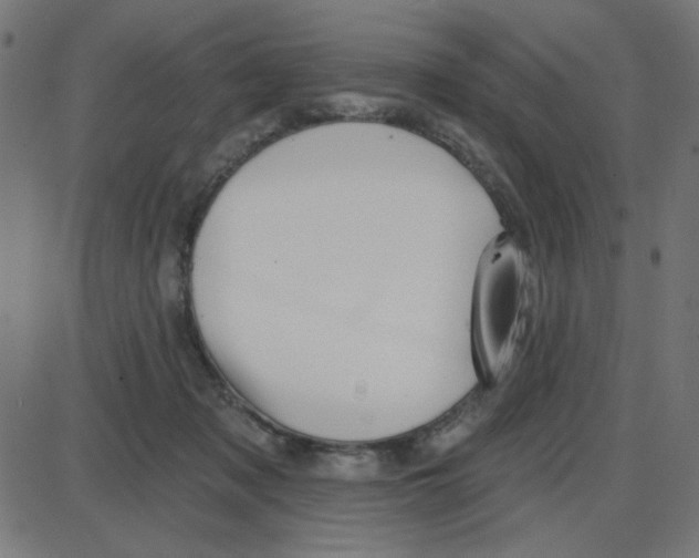 X0000087410317200705181404