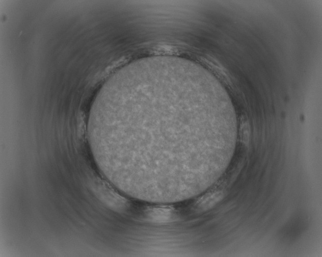 X0000087410318200705181404