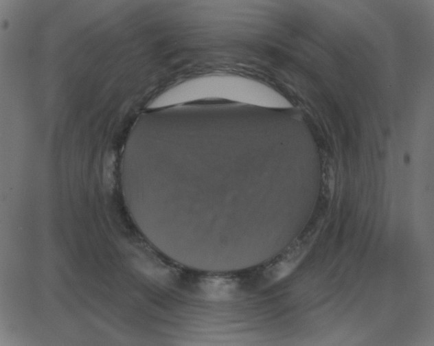 X0000087410319200705181404