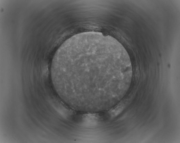 X0000087410320200705181404