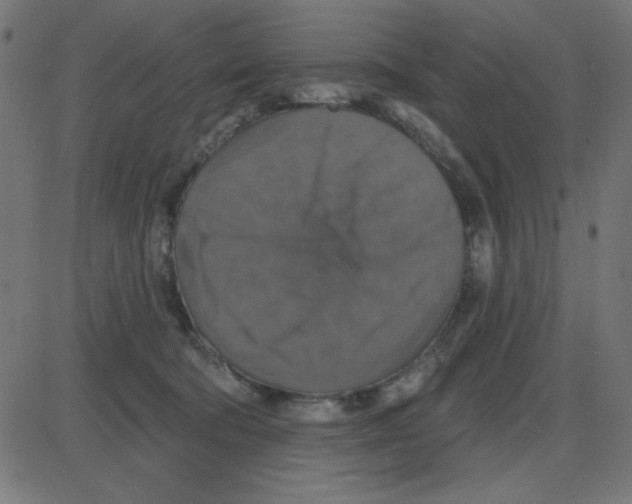 X0000087410322200705181404