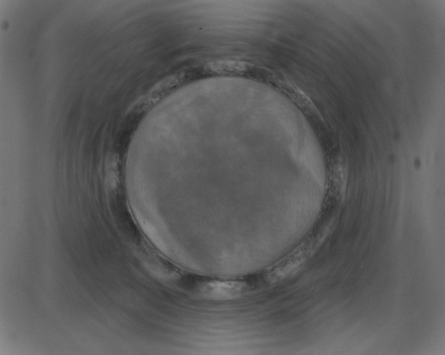 X0000087410323200705181404