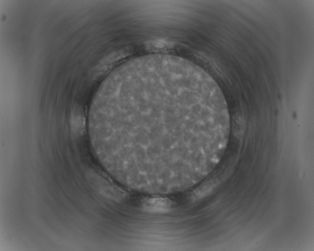 X0000087410324200705181404