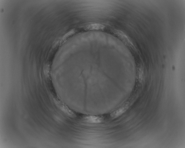 X0000087410326200705181404