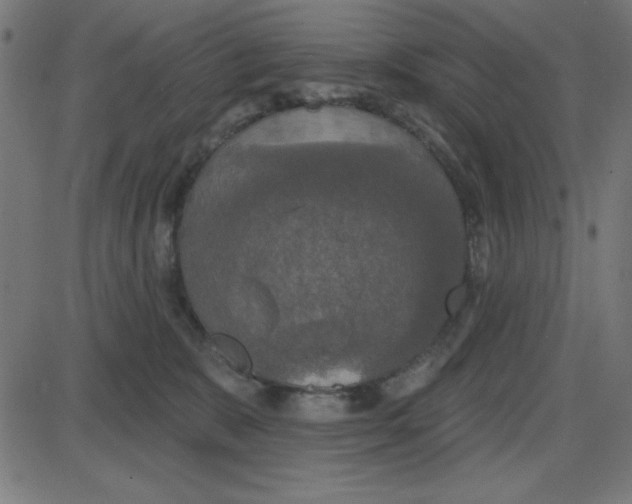 X0000087410327200705181404