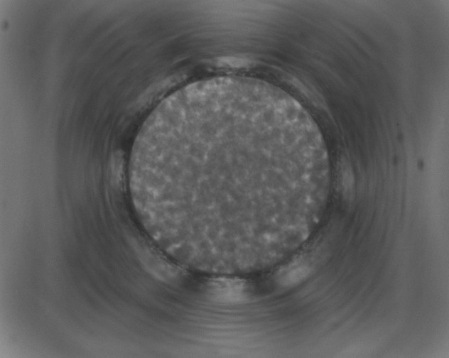 X0000087410328200705181404