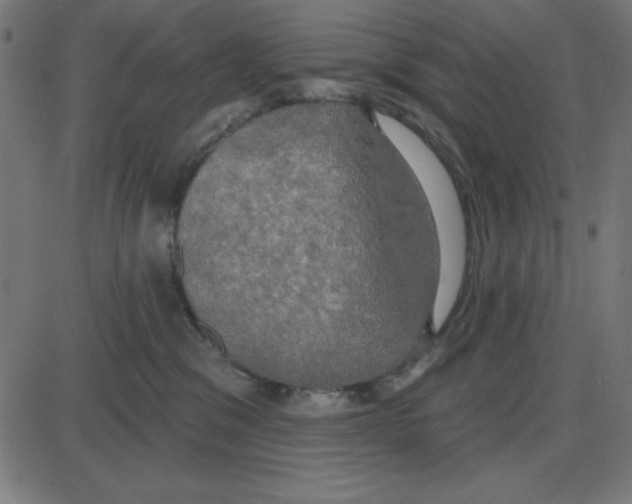 X0000087410329200705181404