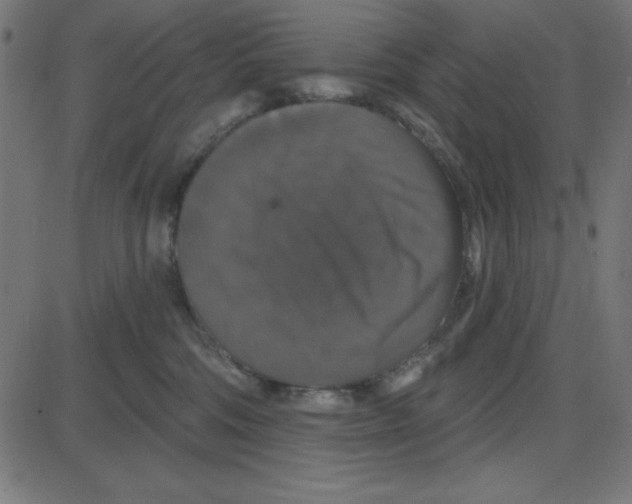 X0000087410330200705181404