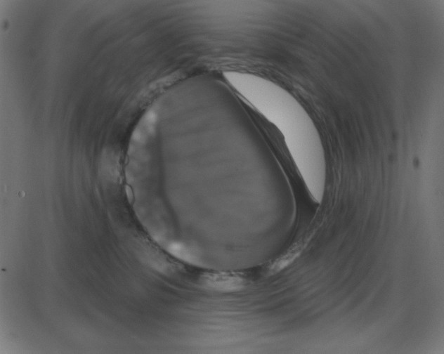 X0000087410331200705181404