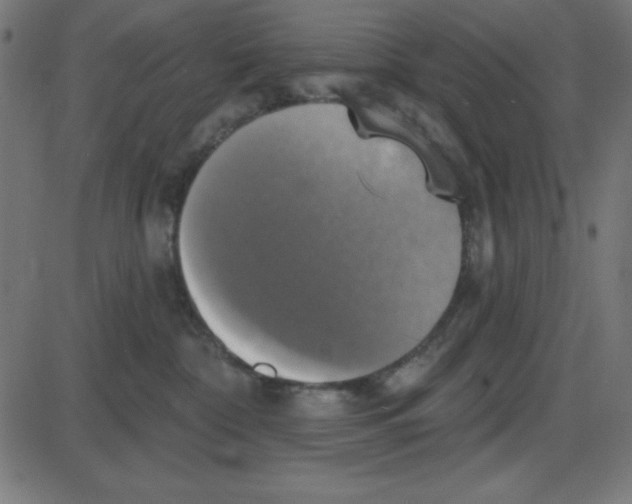 X0000087410332200705181404