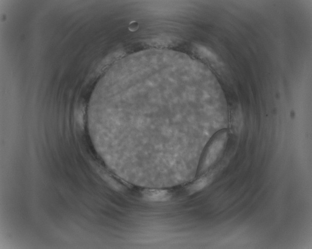 X0000087410334200705181404