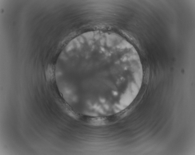 X0000087410335200705181404