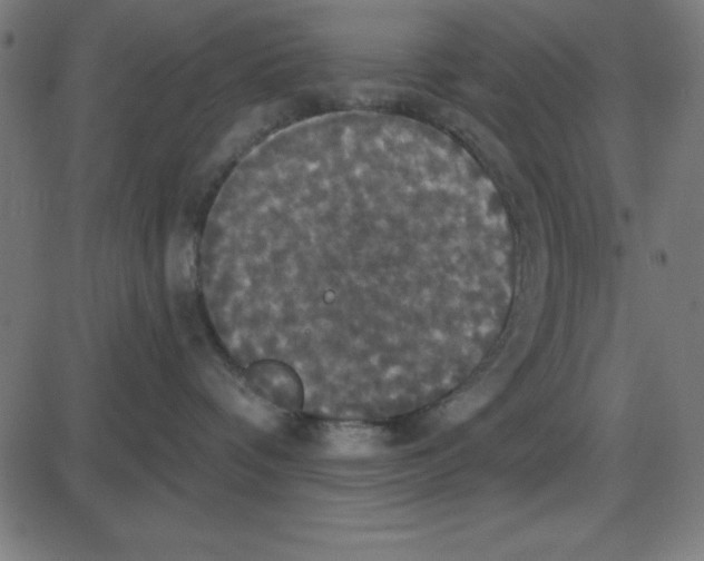 X0000087410336200705181404